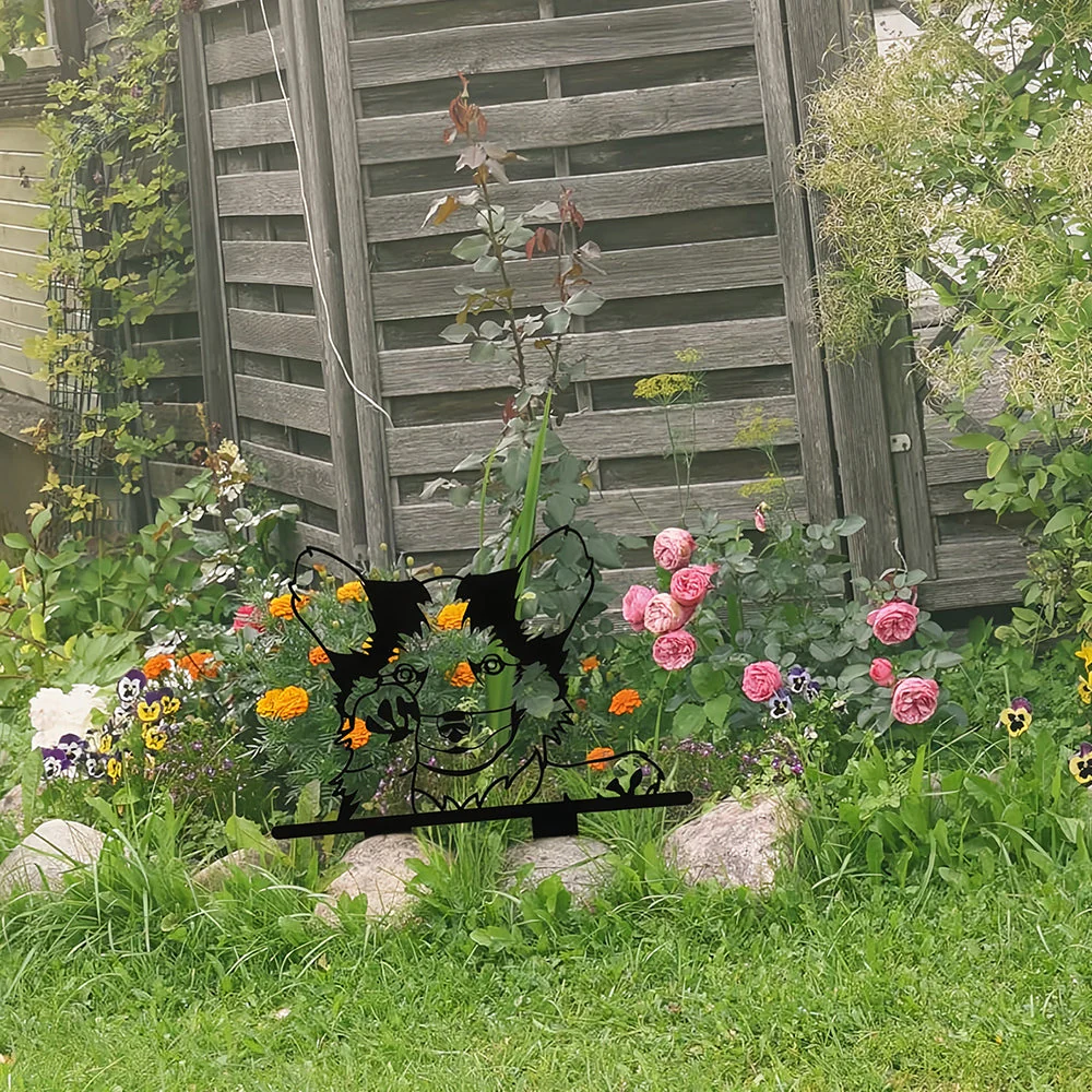 Border Collie Curieux Plaque Métallique – Décoration de Jardin Extérieur Animale - Image 7