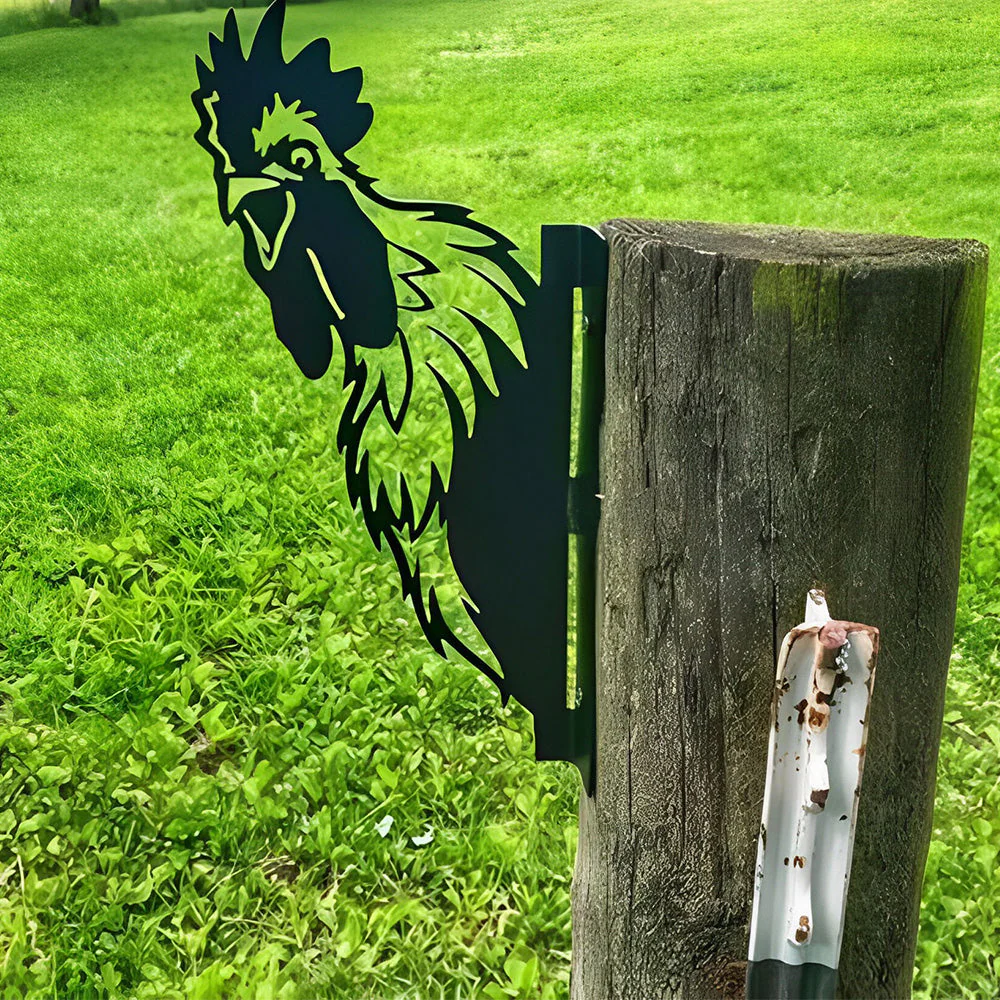 Coq Curieux Plaque Métallique – Décoration de Jardin Extérieur Animale