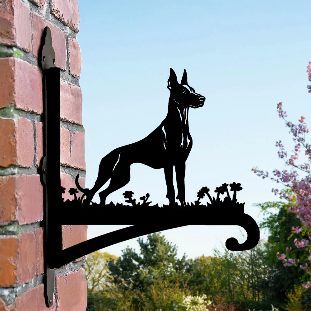 Dobermann Support de Plantes à Suspendre Métallique