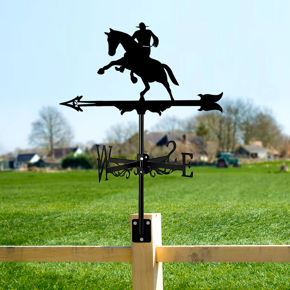 Girouette en Acier Inoxydable 1 Cowboy Western - Image 14
