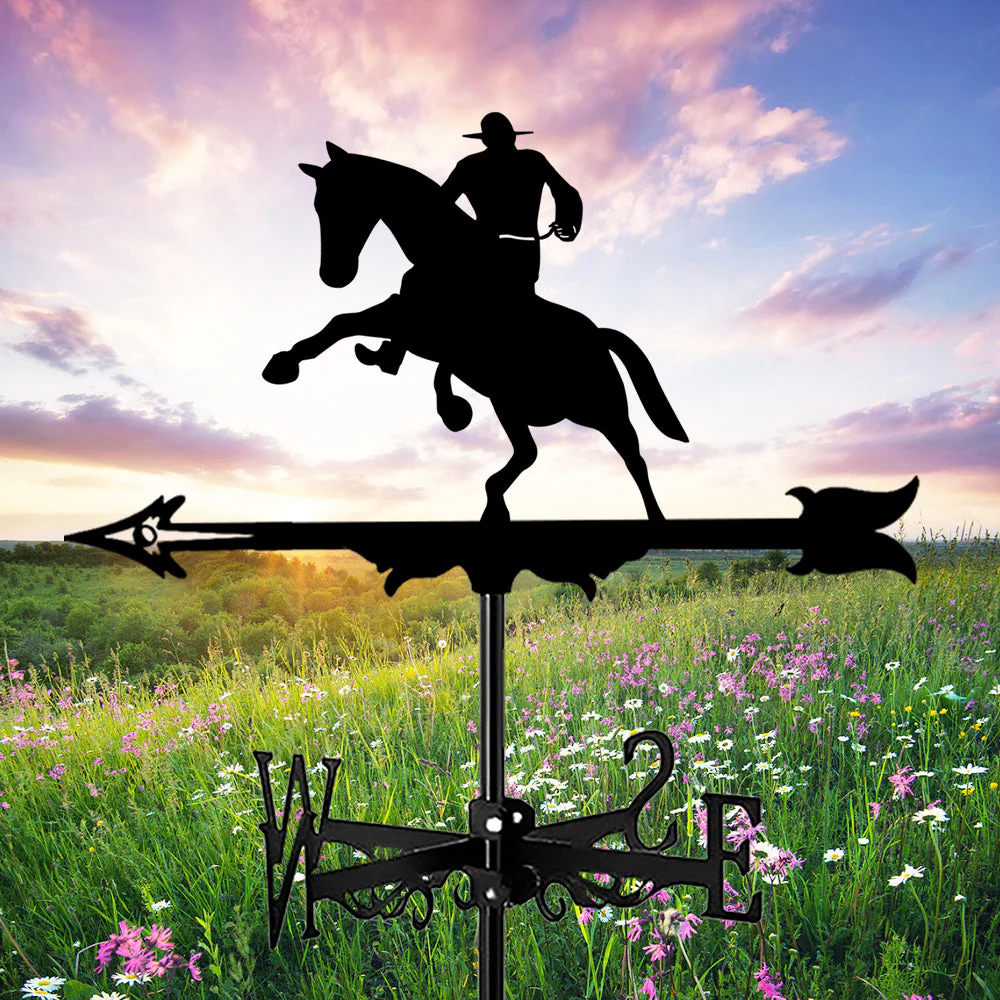 Girouette en Acier Inoxydable 1 Cowboy Western - Image 5