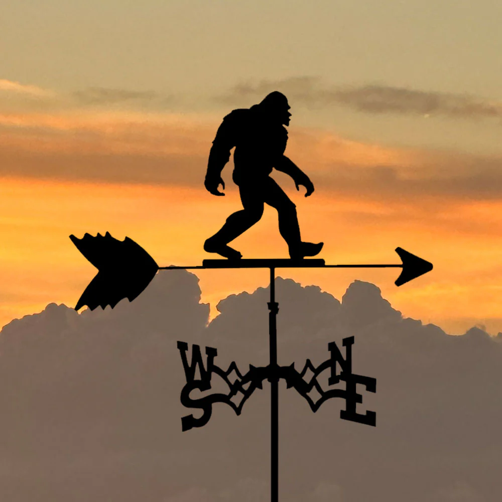 Girouette en Acier Inoxydable Bigfoot - Image 6