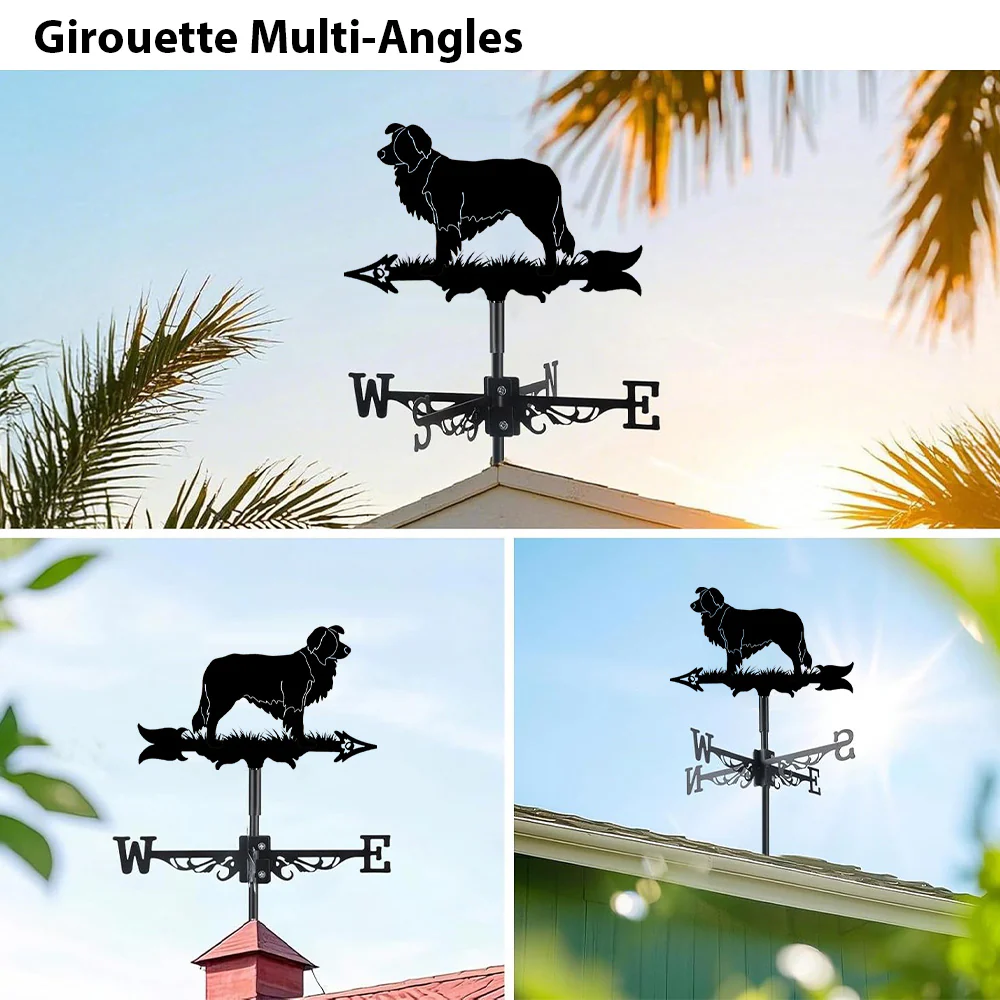 Girouette en Acier Inoxydable Border Collie - Image 3