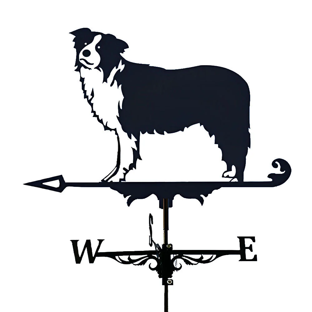 Girouette en Acier Inoxydable Border Collie - Image 11