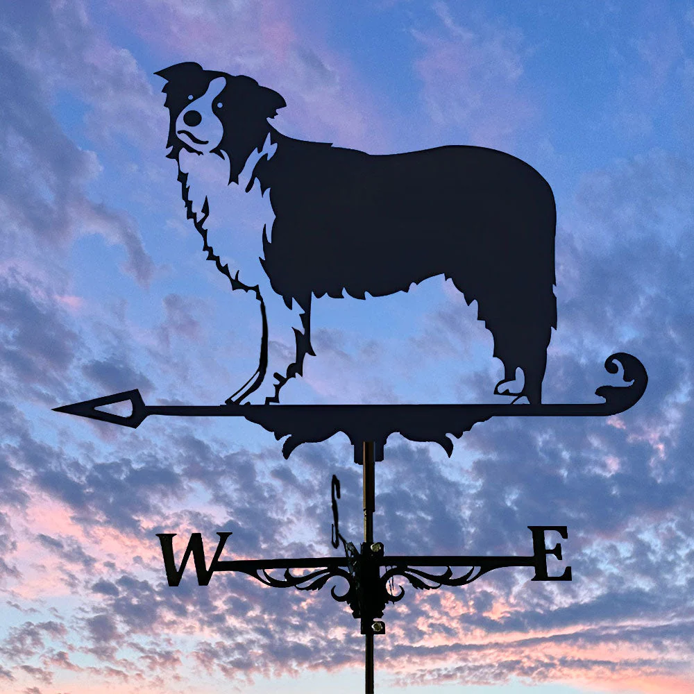 Girouette en Acier Inoxydable Border Collie - Image 6