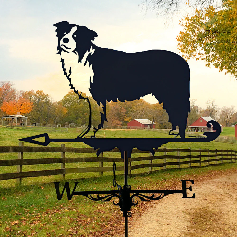 Girouette en Acier Inoxydable Border Collie - Image 7