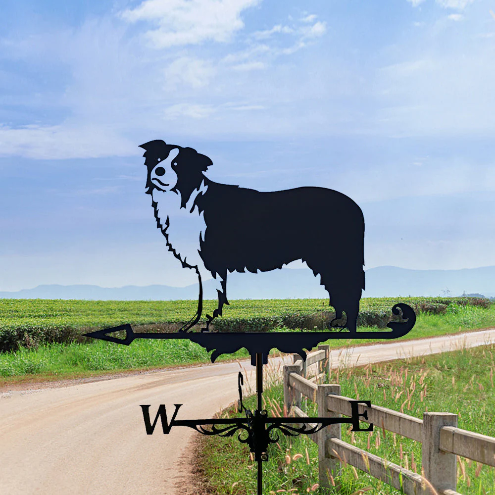 Girouette en Acier Inoxydable Border Collie - Image 8