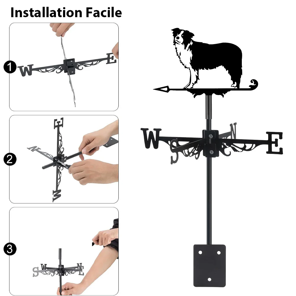 Girouette en Acier Inoxydable Border Collie - Image 9