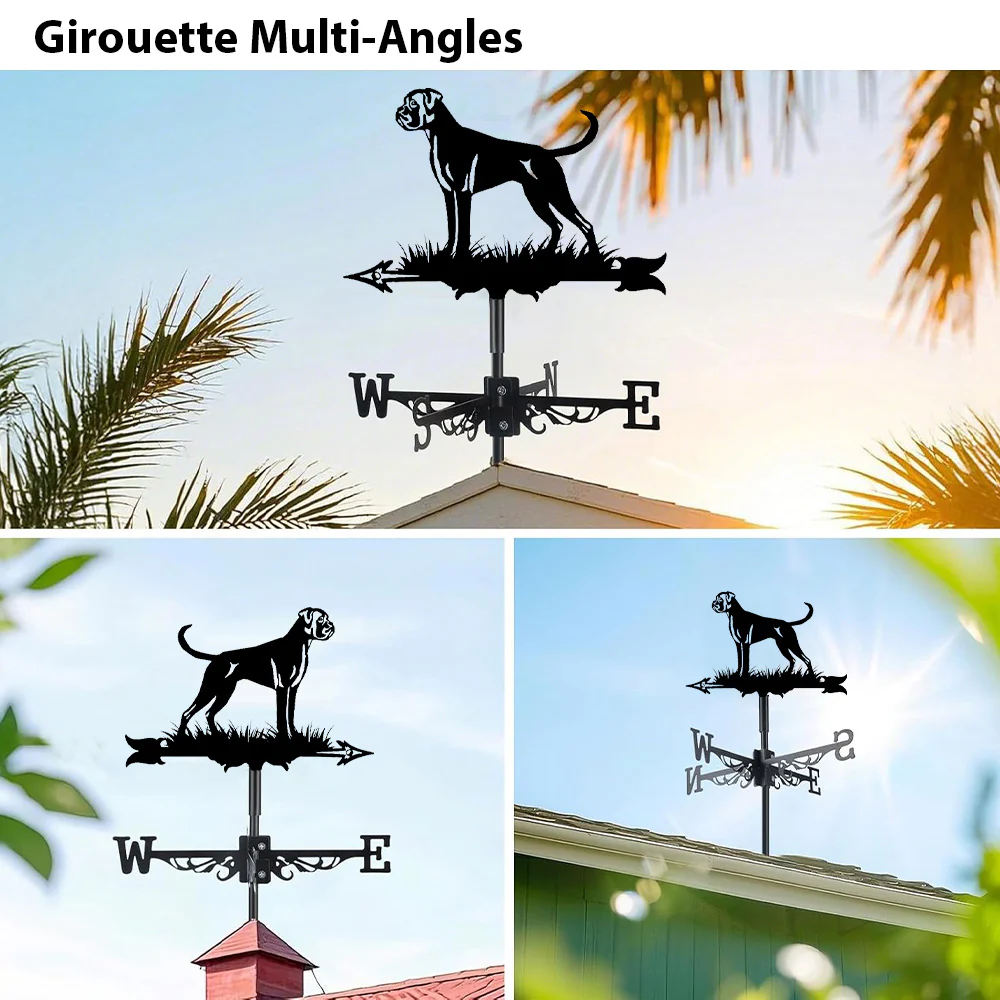 Girouette en Acier Inoxydable Boxer - Image 3