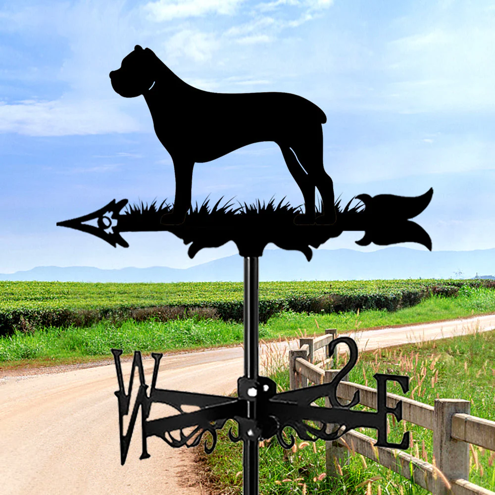 Girouette en Acier Inoxydable Cane Corso - Image 5