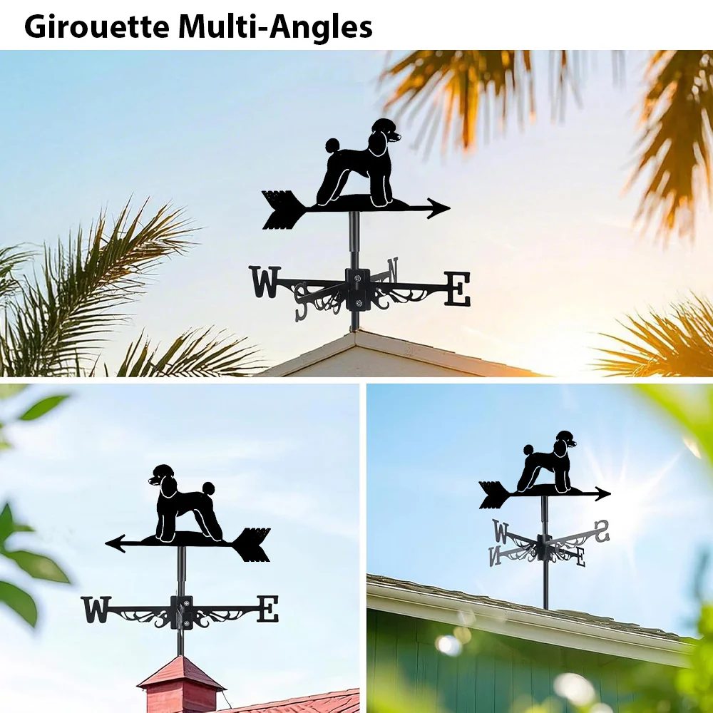 Girouette en Acier Inoxydable Caniche - Image 3