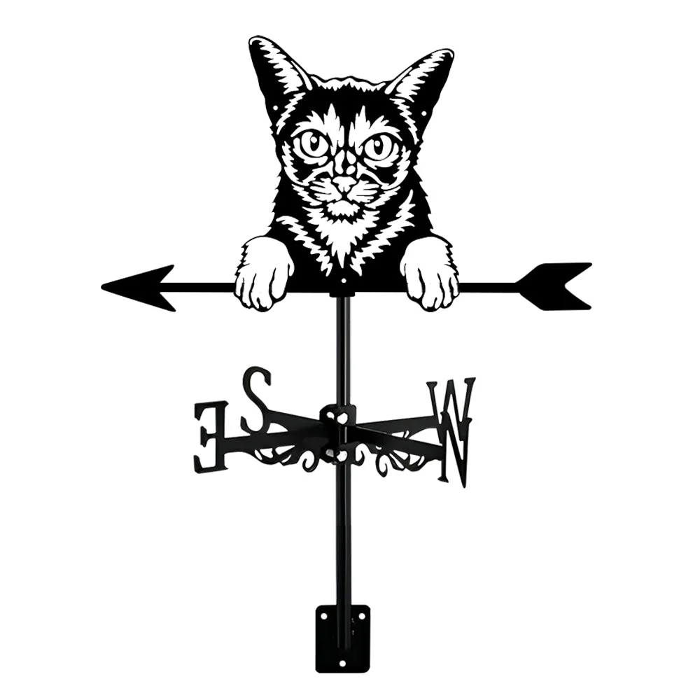 Girouette en Acier Inoxydable Chat Abyssin - Image 16
