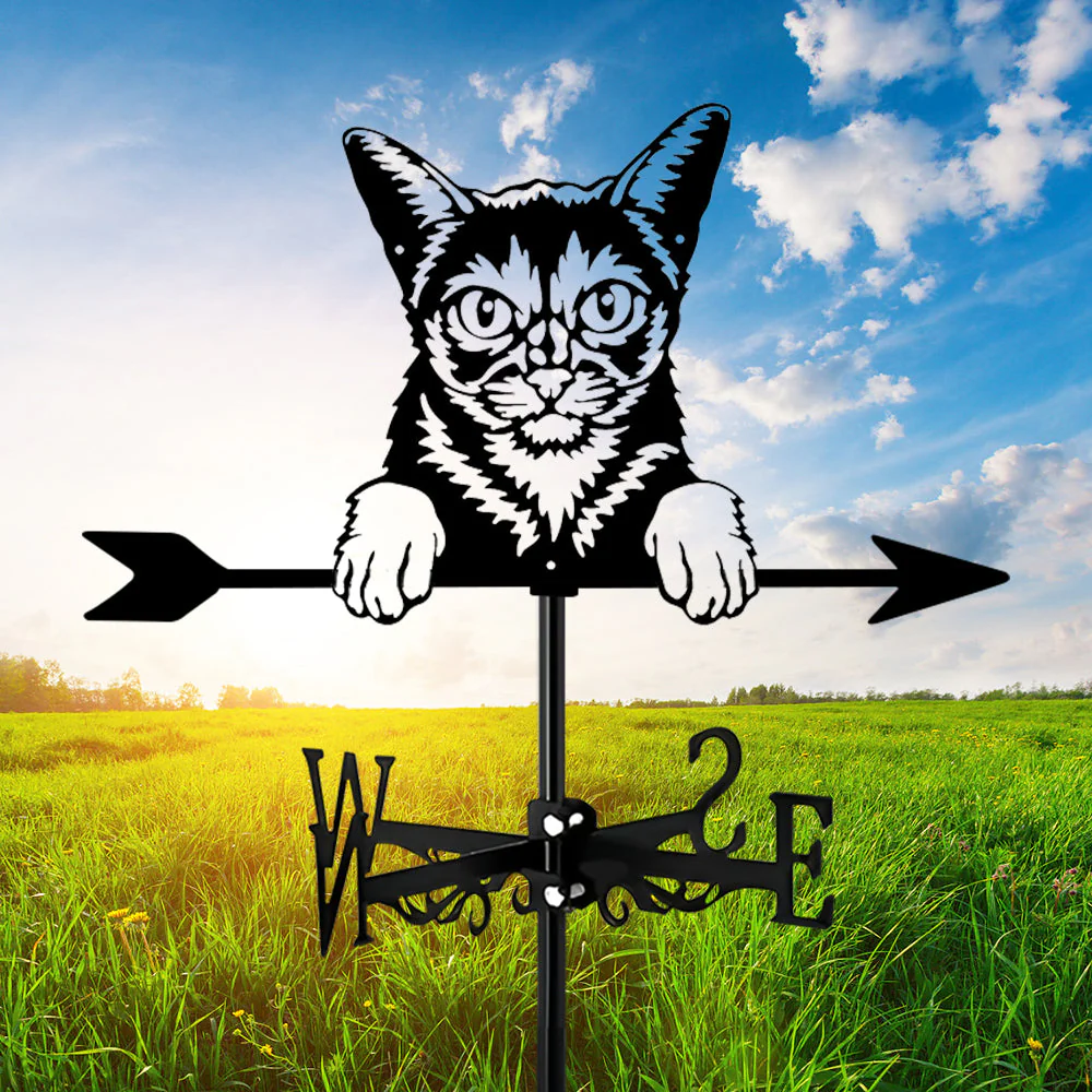 Girouette en Acier Inoxydable Chat Abyssin - Image 7