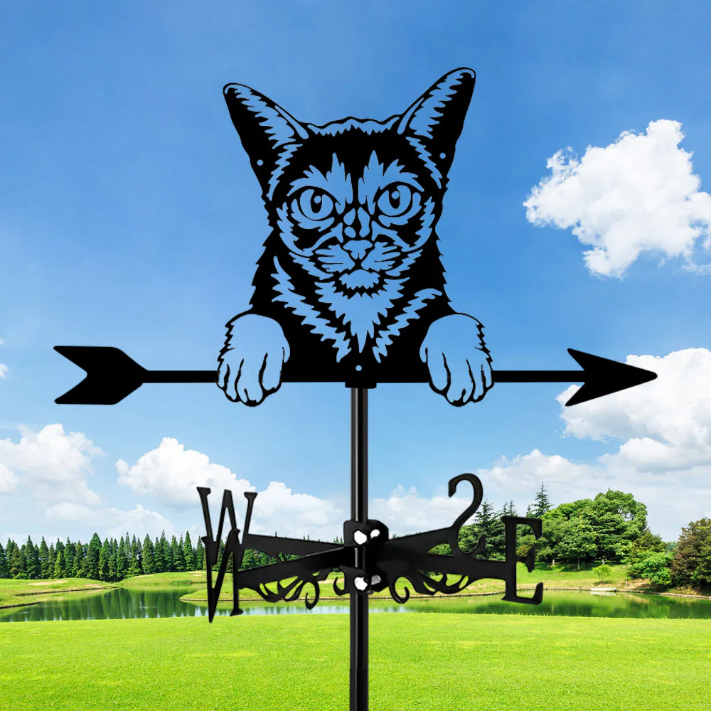 Girouette en Acier Inoxydable Chat Abyssin - Image 9