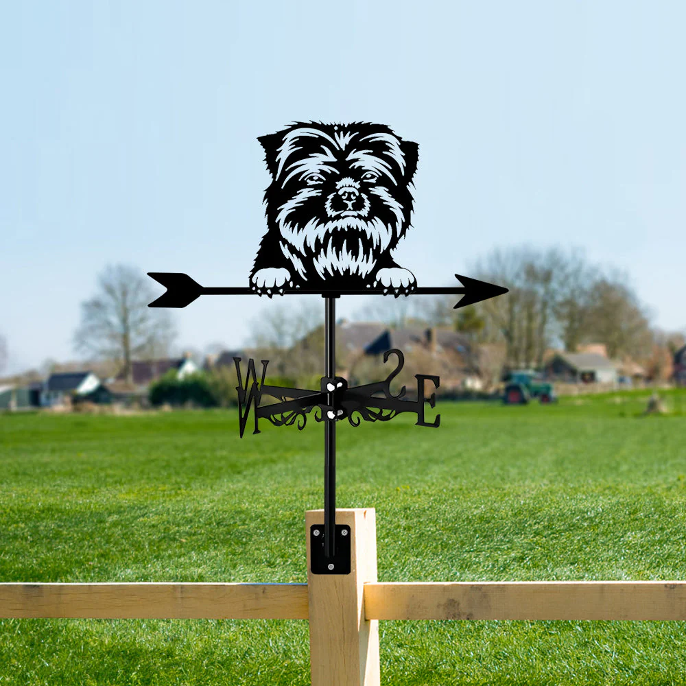 Girouette en Acier Inoxydable Chien Affenpinscher - Image 11
