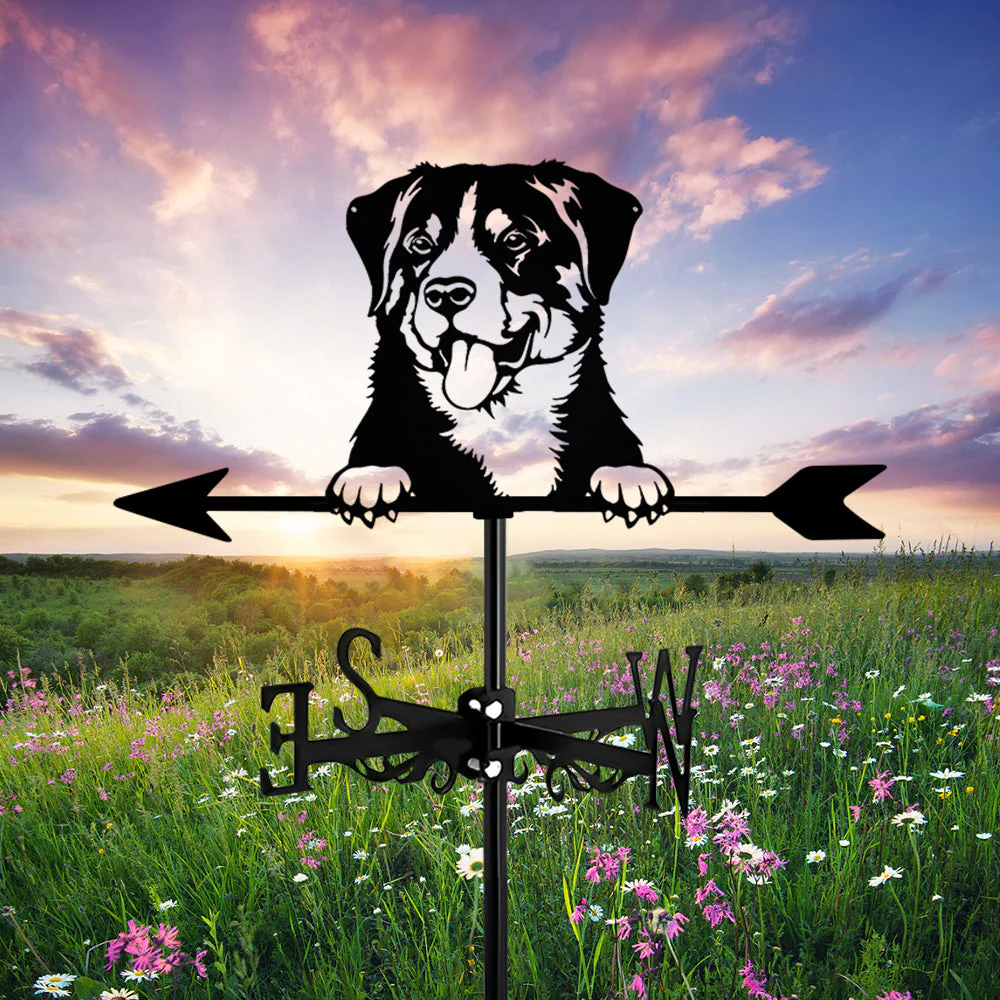 Girouette en Acier Inoxydable Chien Appenzeller Sennenhund - Image 12