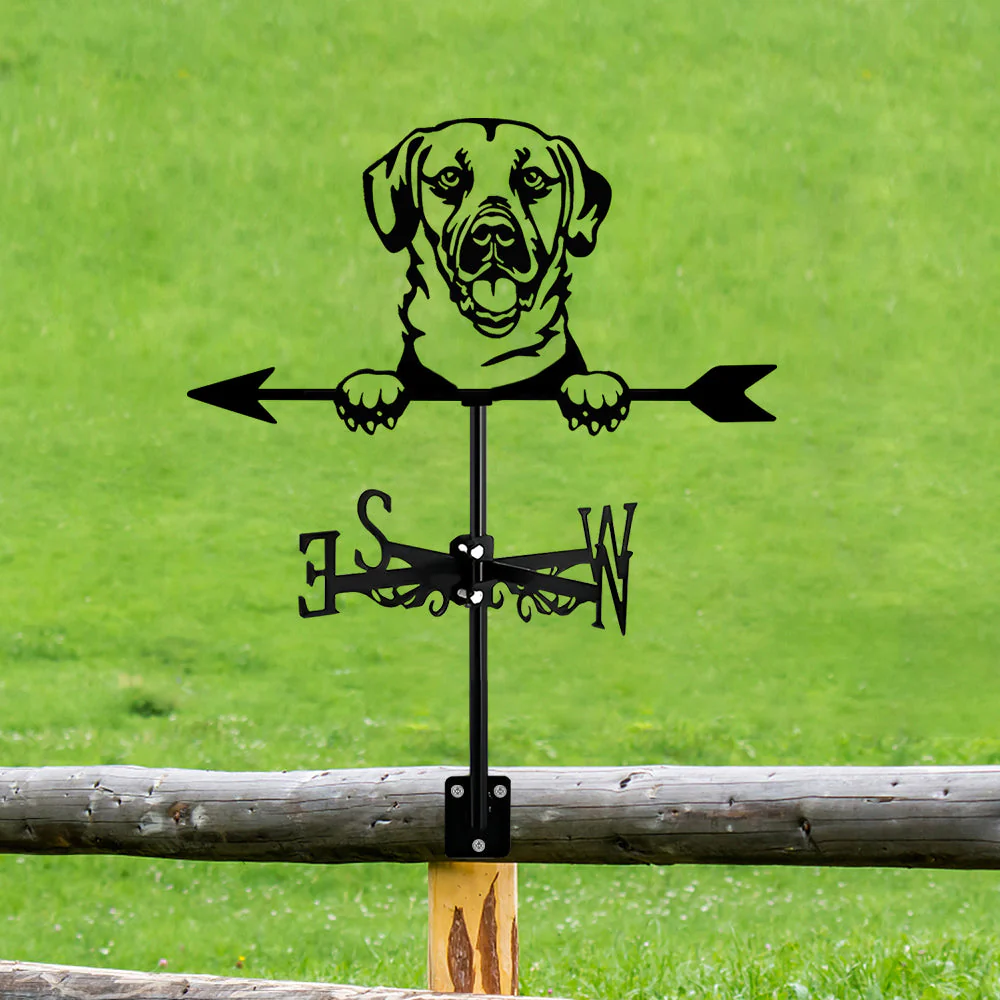 Girouette en Acier Inoxydable Chien Black Mouth Cur - Image 11