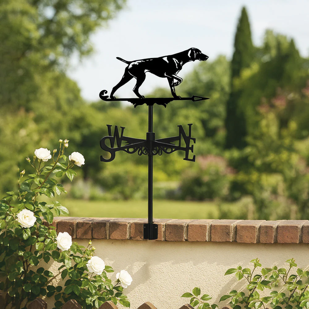 Girouette en Acier Inoxydable Chien Braque Allemand - Image 2