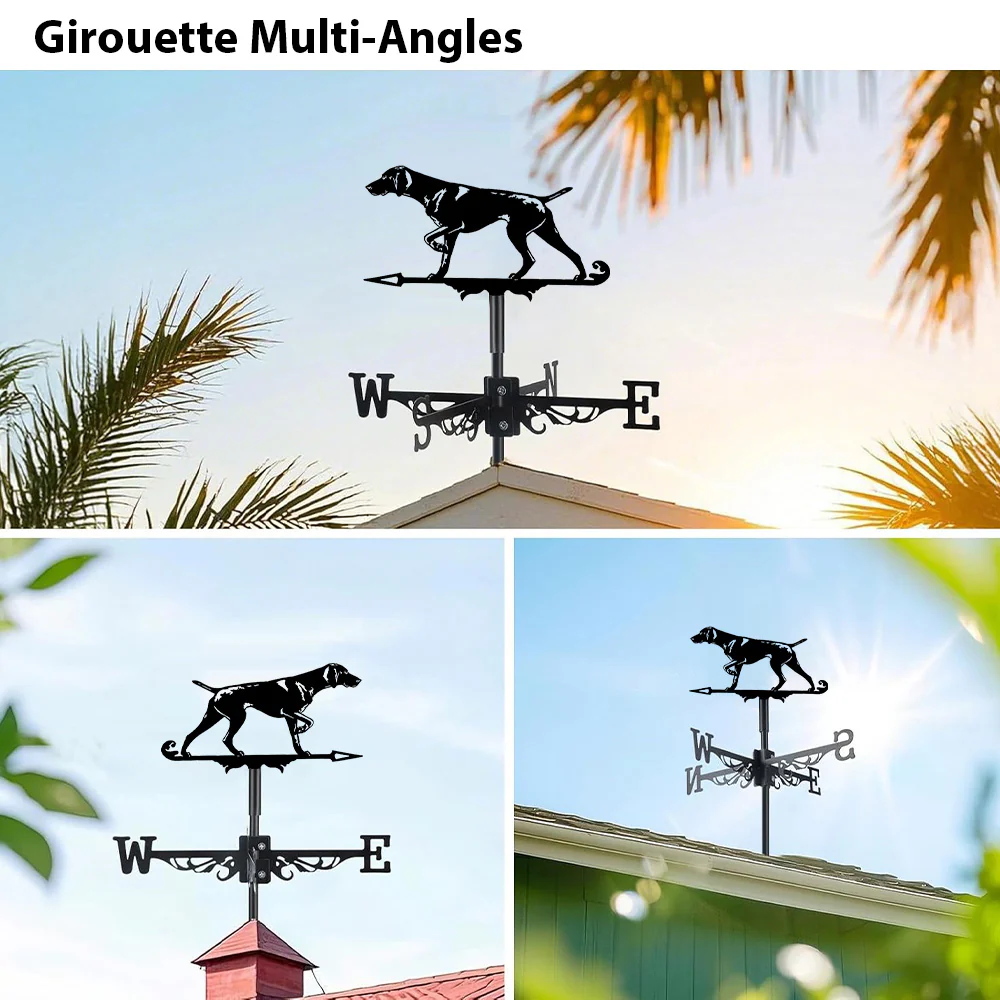 Girouette en Acier Inoxydable Chien Braque Allemand - Image 3