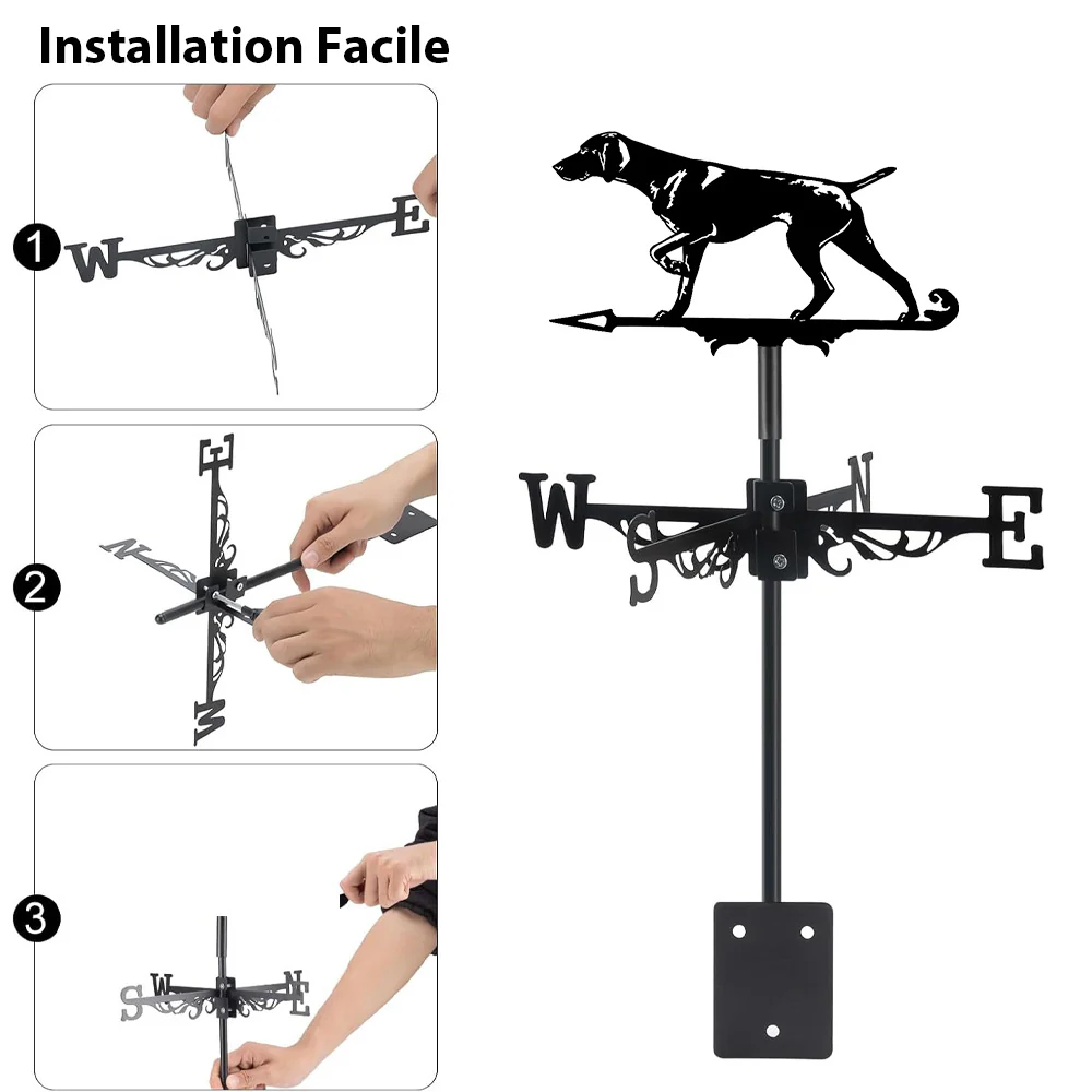 Girouette en Acier Inoxydable Chien Braque Allemand - Image 7