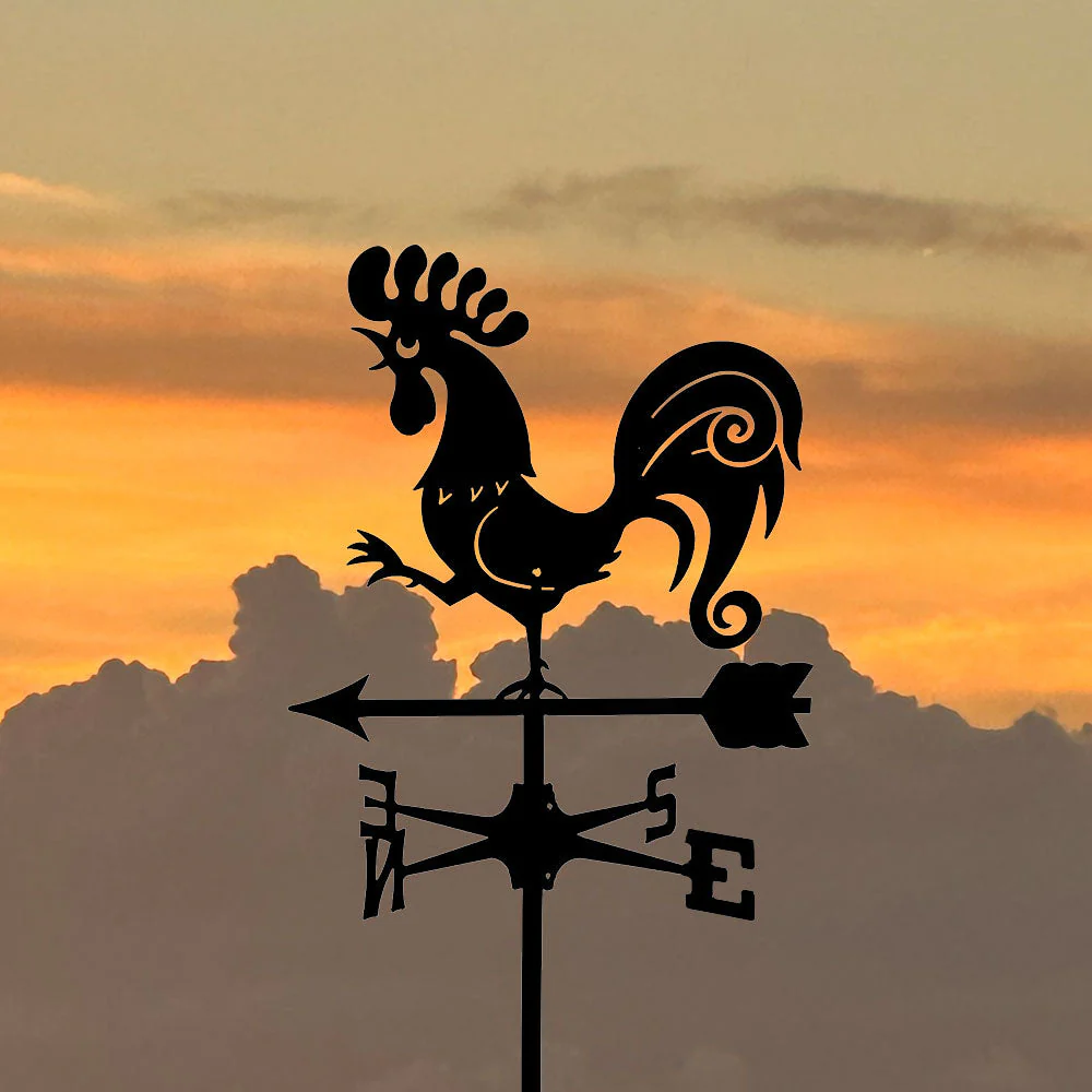 Girouette en Acier Inoxydable Coq Cartoon - Image 5