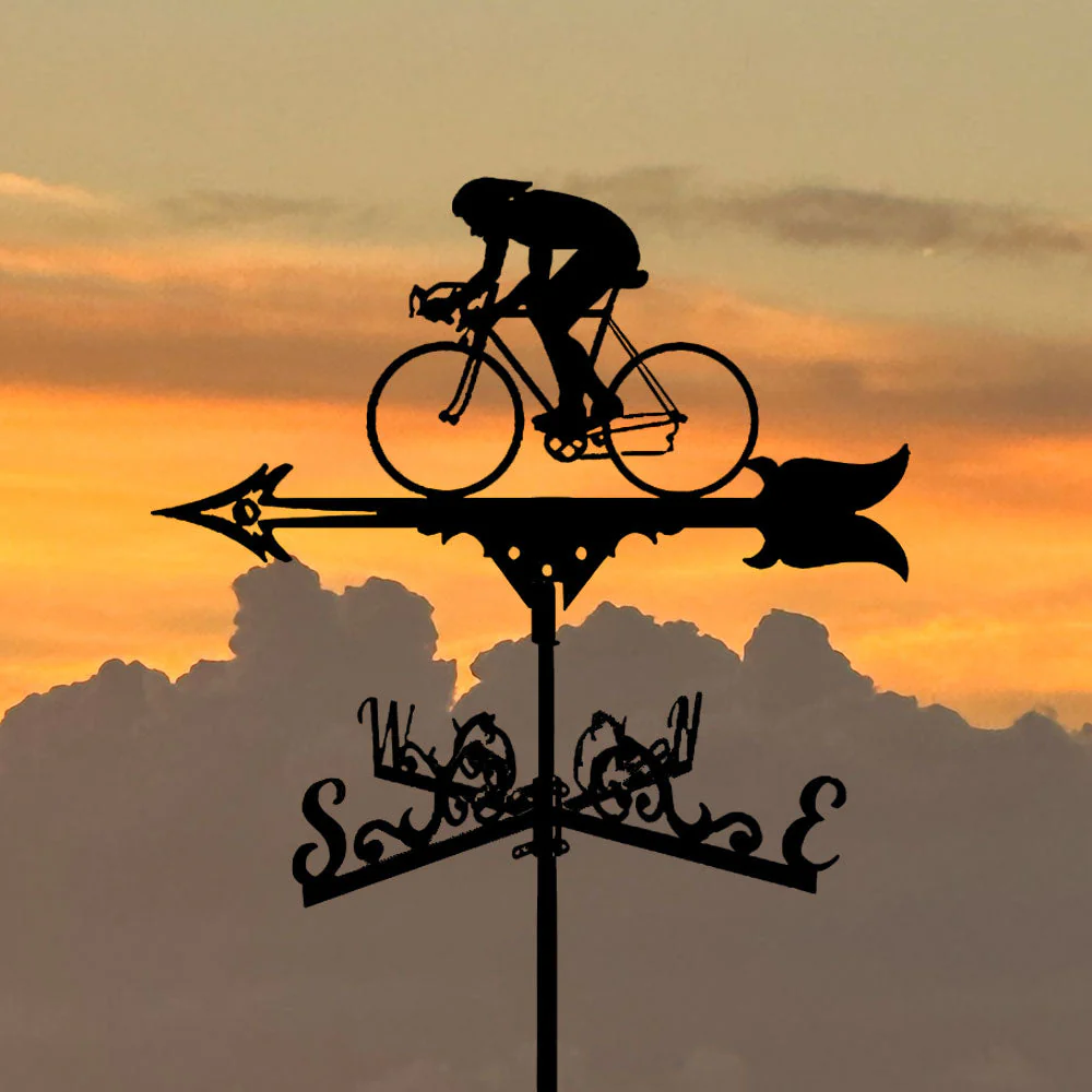 Girouette en Acier Inoxydable Cycliste - Image 5