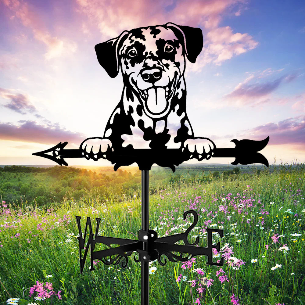 Girouette en Acier Inoxydable Dalmatien - Image 12