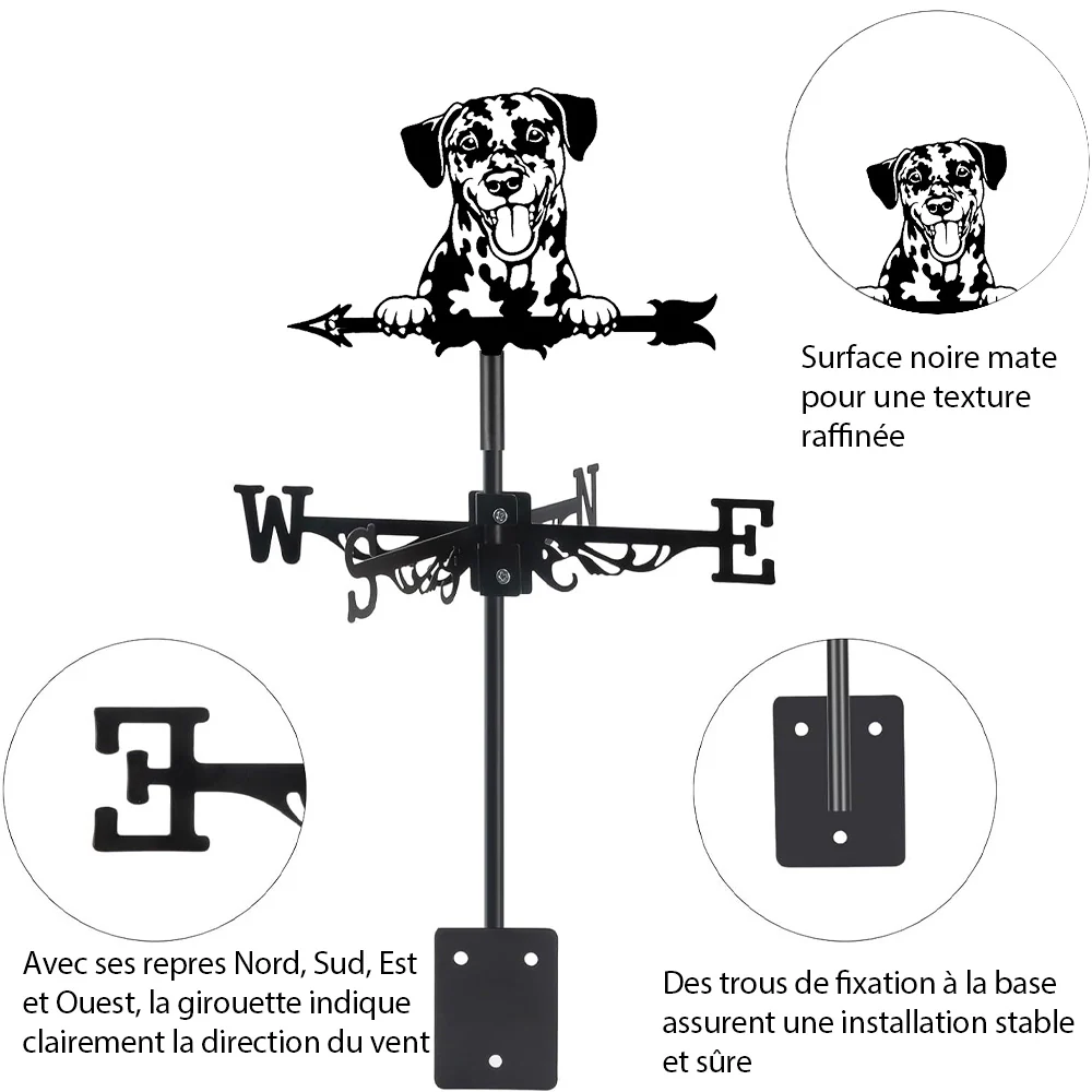 Girouette en Acier Inoxydable Dalmatien - Image 17