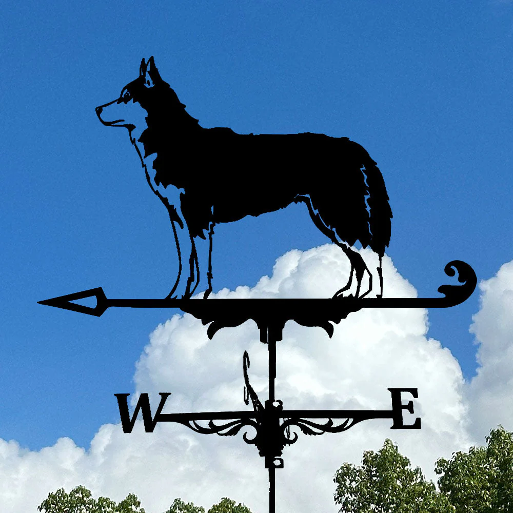Girouette en Acier Inoxydable Husky - Image 4