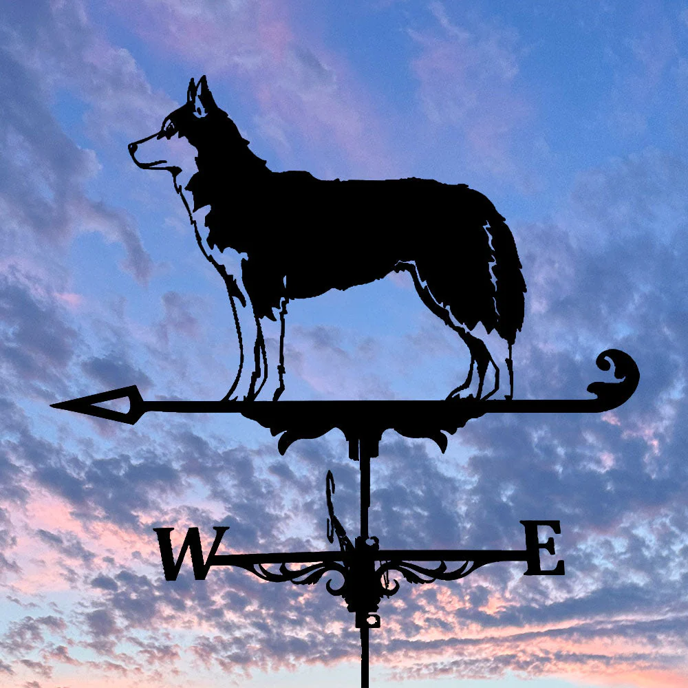Girouette en Acier Inoxydable Husky - Image 5