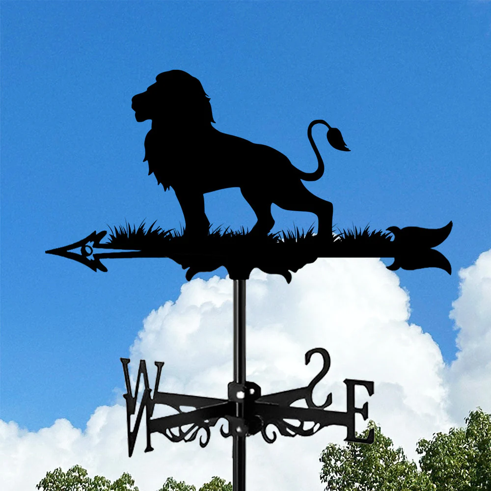 Girouette en Acier Inoxydable Lion - Image 11