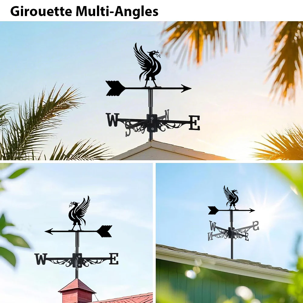 Girouette en Acier Inoxydable Liver Bird - Image 3