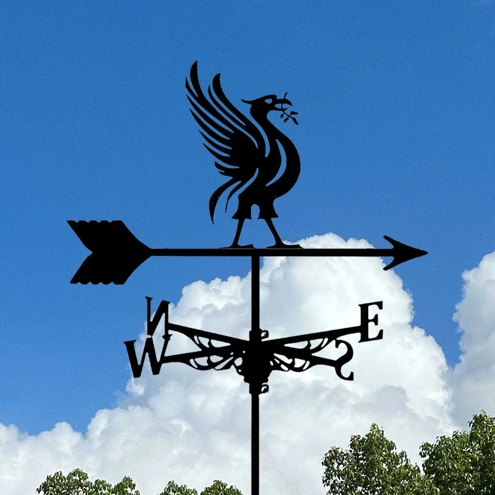 Girouette en Acier Inoxydable Liver Bird - Image 4