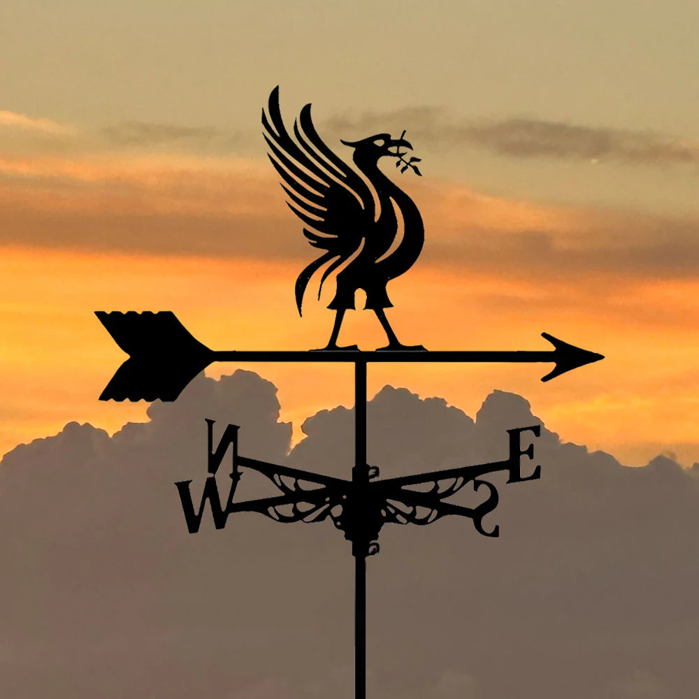 Girouette en Acier Inoxydable Liver Bird - Image 5