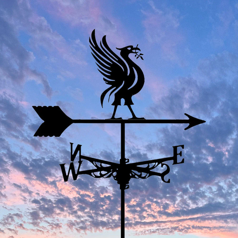 Girouette en Acier Inoxydable Liver Bird - Image 6
