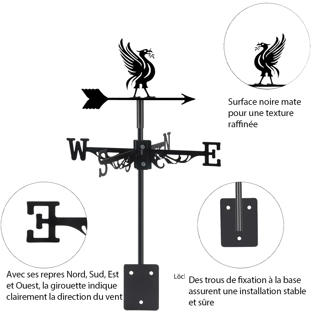 Girouette en Acier Inoxydable Liver Bird - Image 8