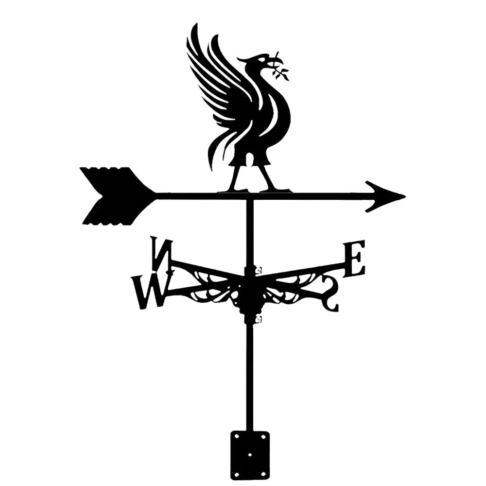 Girouette en Acier Inoxydable Liver Bird - Image 9