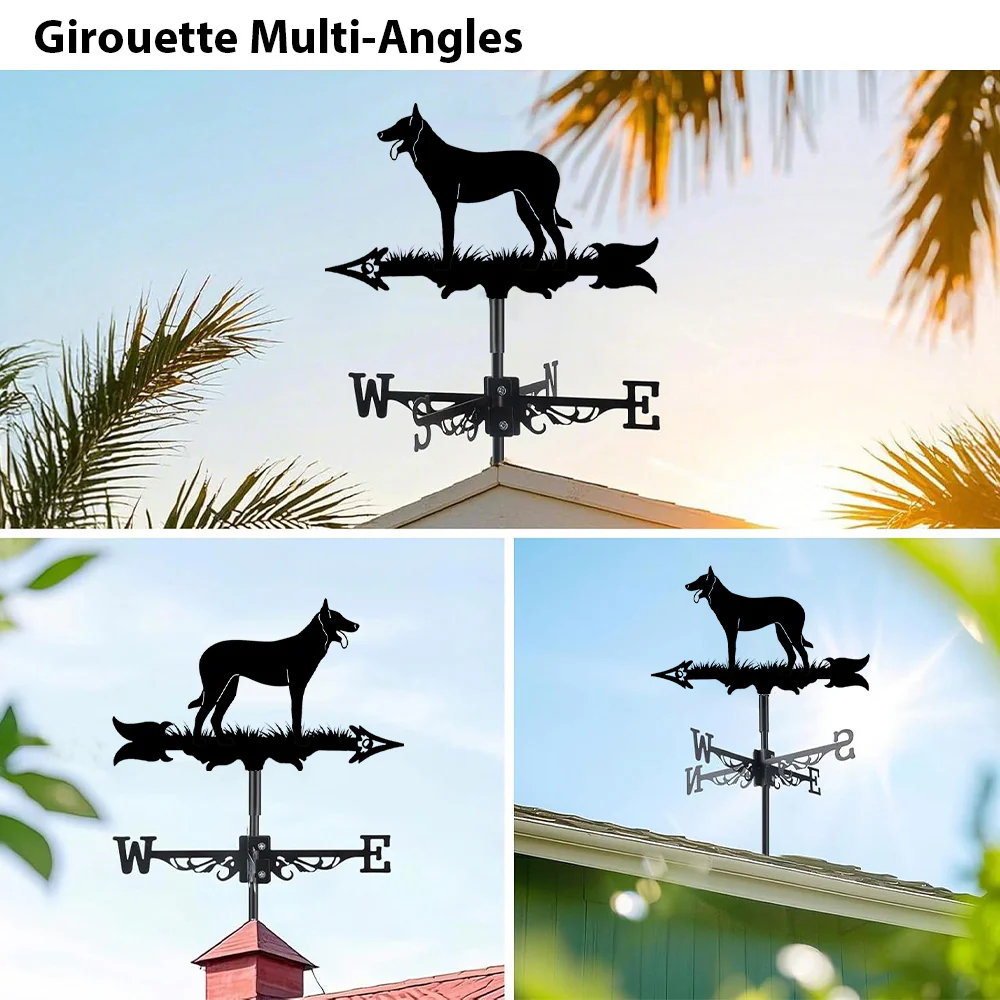 Girouette en Acier Inoxydable Malinois Belge - Image 3
