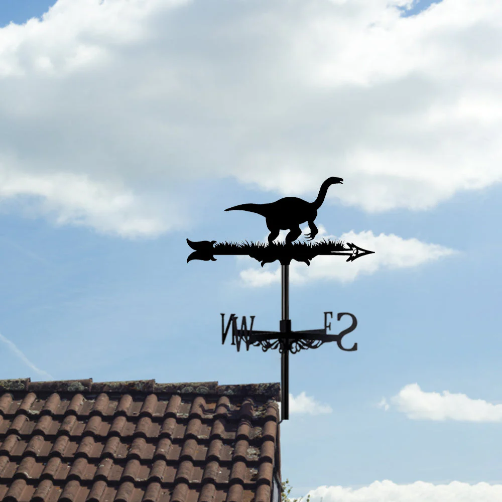 Girouette en Acier Inoxydable Nothronychus - Image 2
