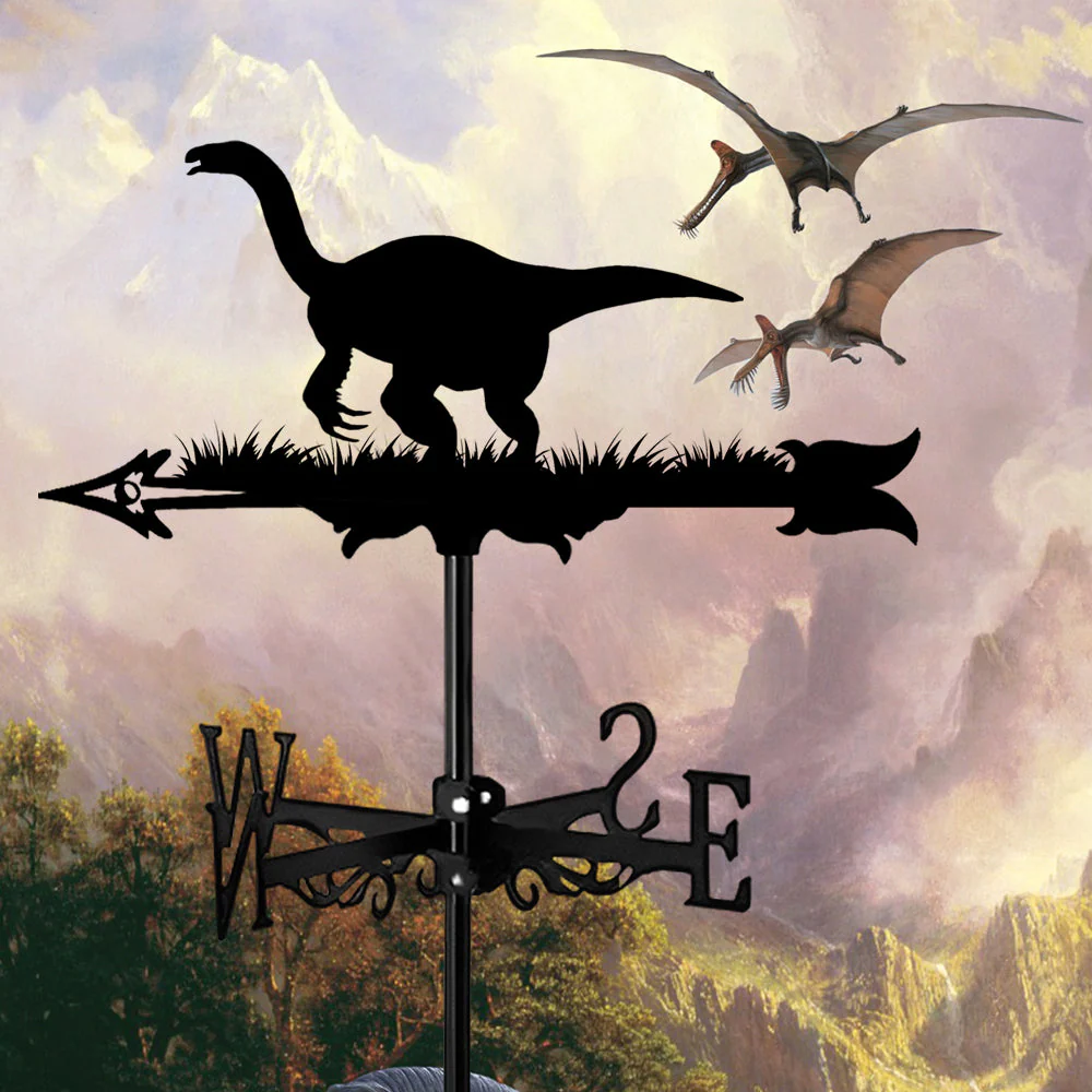 Girouette en Acier Inoxydable Nothronychus - Image 6