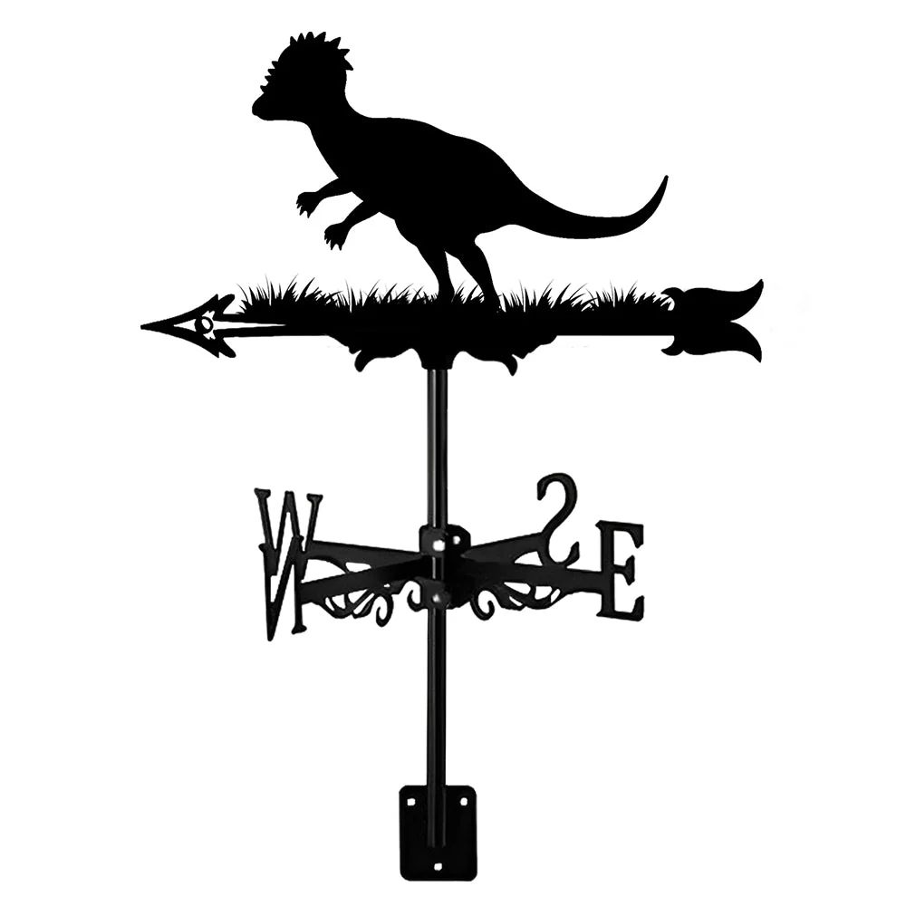 Girouette en Acier Inoxydable Pachycéphalosaurus - Image 10