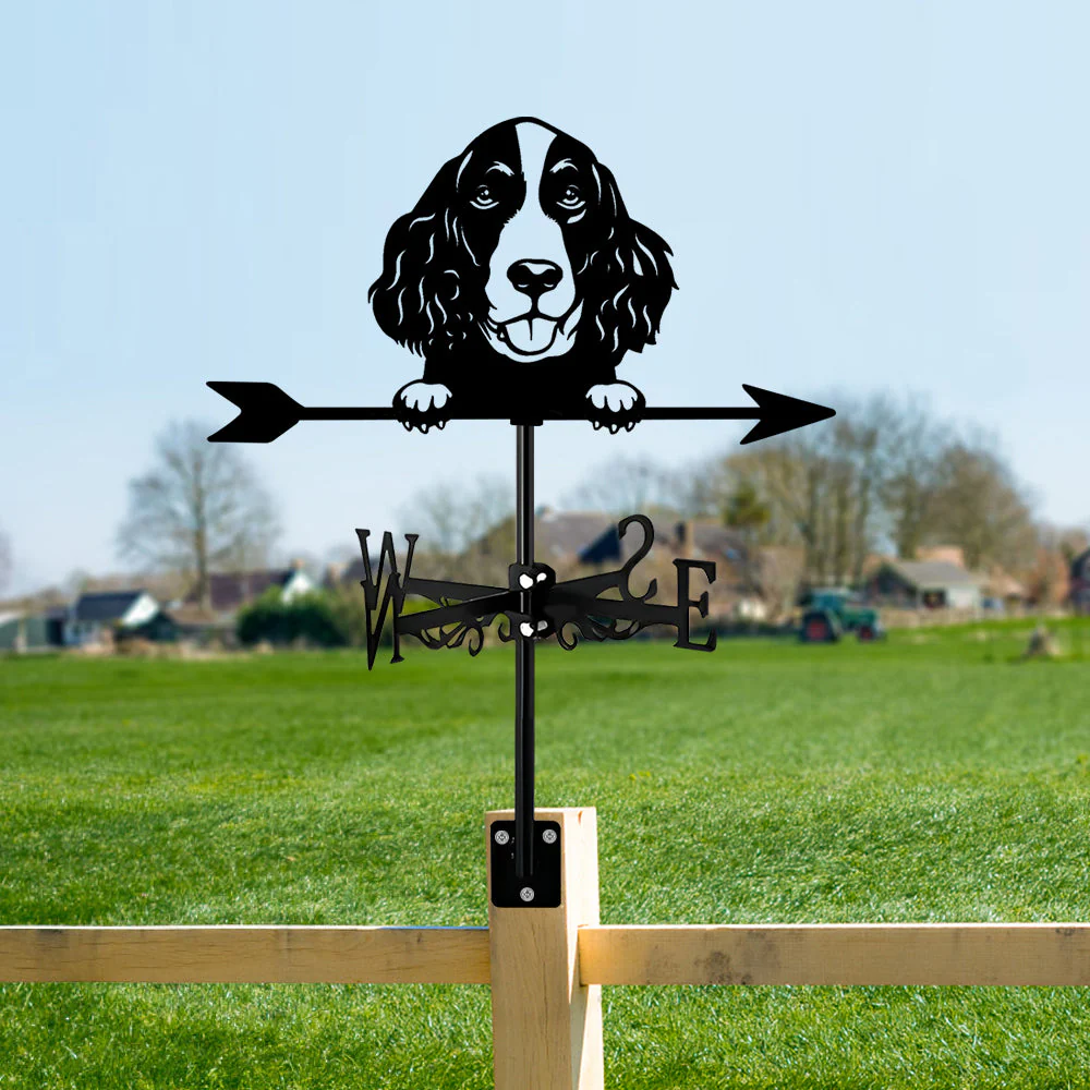 Girouette en Acier Inoxydable Springer Spaniel Anglais - Image 12