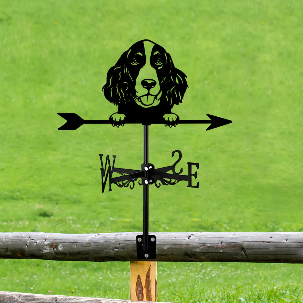 Girouette en Acier Inoxydable Springer Spaniel Anglais - Image 13