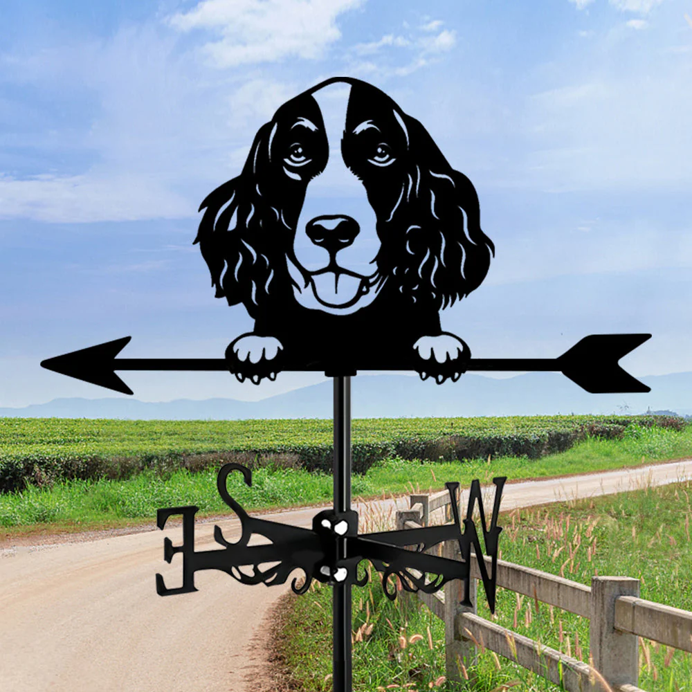 Girouette en Acier Inoxydable Springer Spaniel Anglais - Image 6