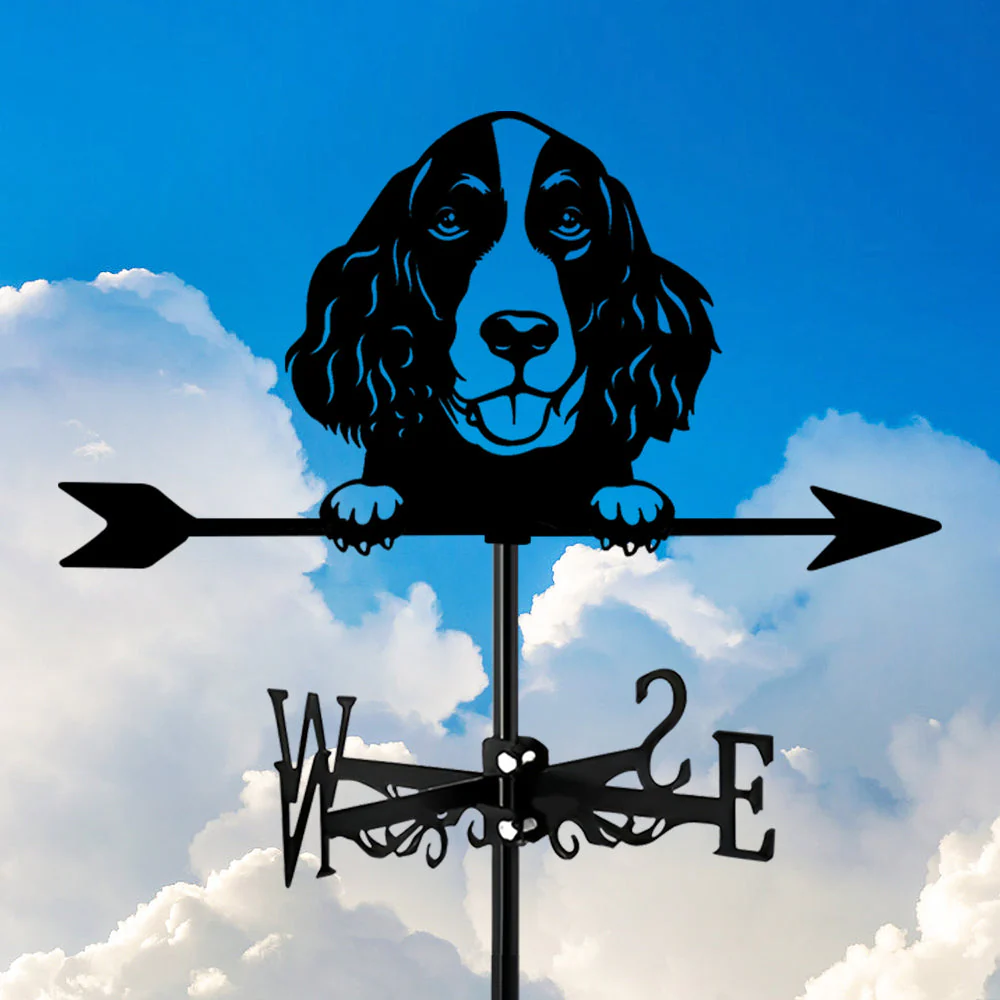 Girouette en Acier Inoxydable Springer Spaniel Anglais - Image 8