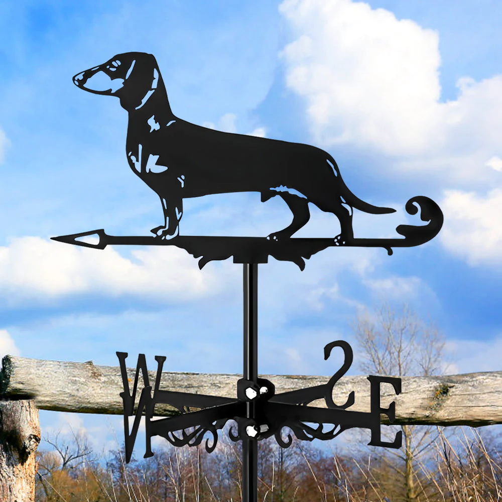Girouette en Acier Inoxydable Teckel - Image 8