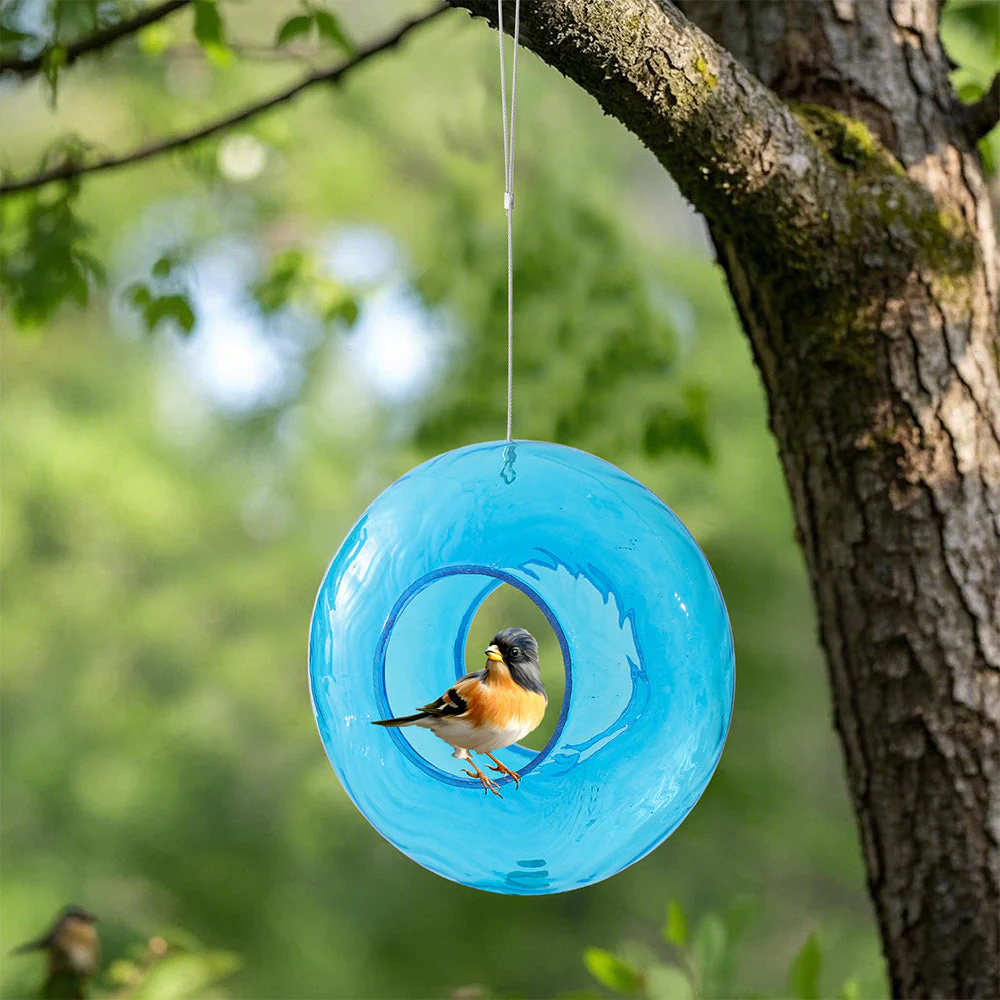 Mangeoire pour Colibri en Verre Soufflé à la Main avec Perchoir - Image 13