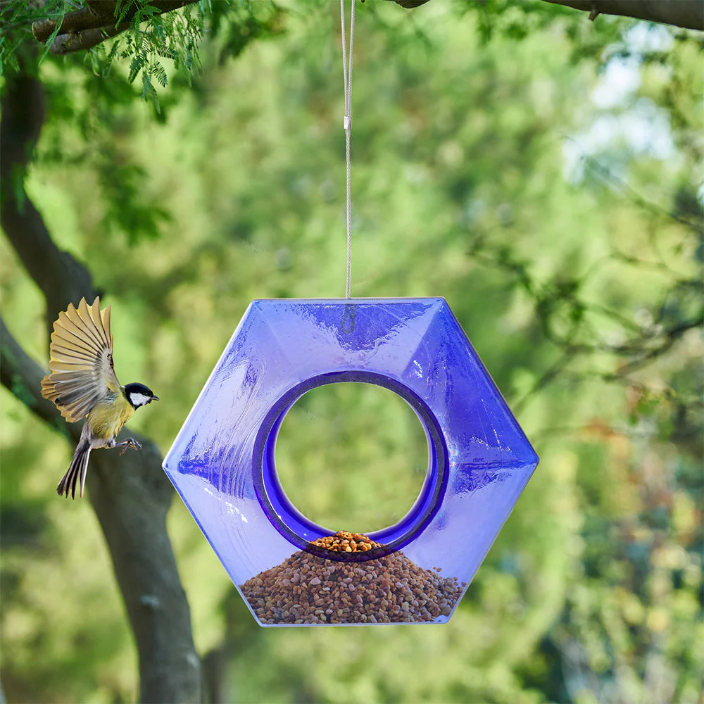 Mangeoire pour Colibri en Verre Soufflé à la Main avec Perchoir - Image 15