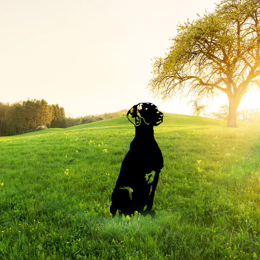 Vizsla Silhouette en Métal - Image 3